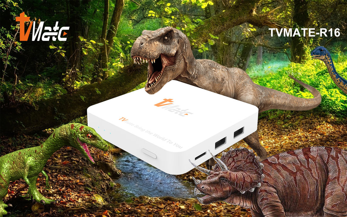 OTT Android TV Box Rockchip 322X क्वाड-कोर Cortex-A7 तक 1.5GHz स्मार्ट टीवी बॉक्स Android